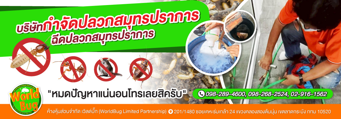 กำจัดปลวกสมุทรปราการ